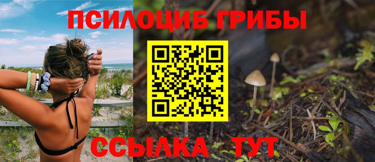 Галлюциногенные грибы мухоморы Кореновск